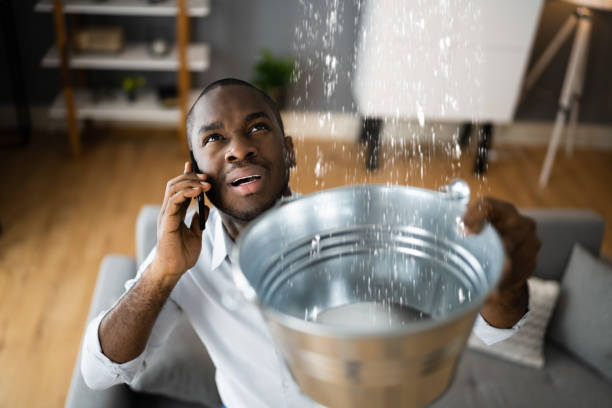 Best Local water damage restoration  in Liverpool, NY