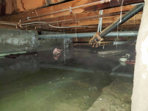 Best Water damage restoration near me  in Liverpool, NY