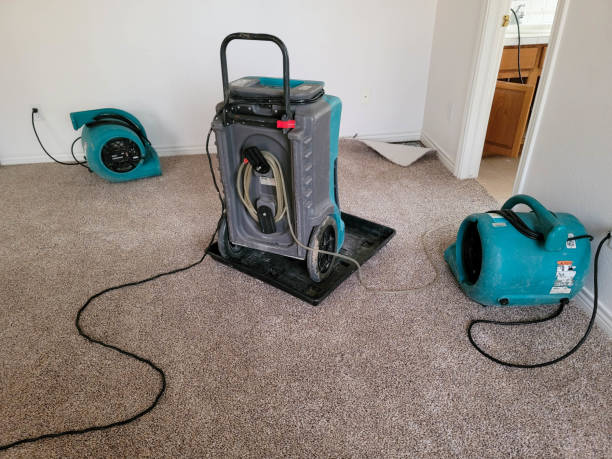 Best Water damage restoration cost  in Liverpool, NY