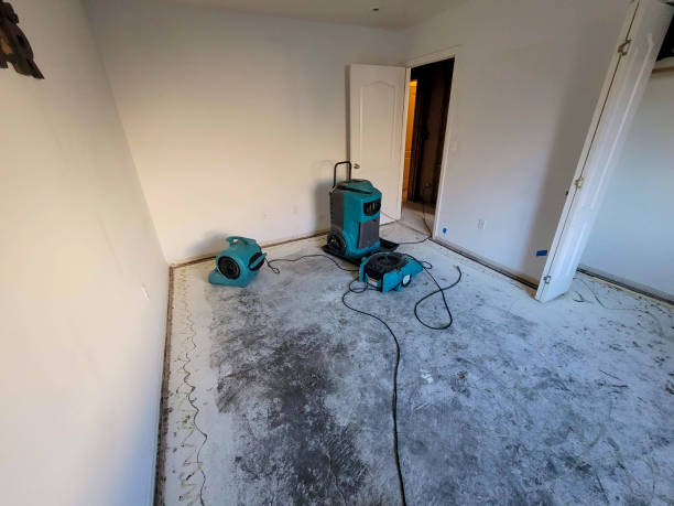 Best Basement water damage restoration  in Liverpool, NY