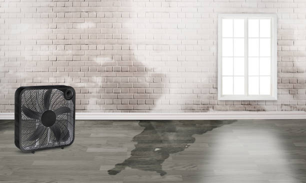 Best Flood restoration services  in Liverpool, NY