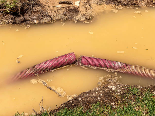 Water damage restoration process in NY