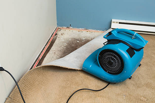 Best Water damage cleanup near me  in Liverpool, NY